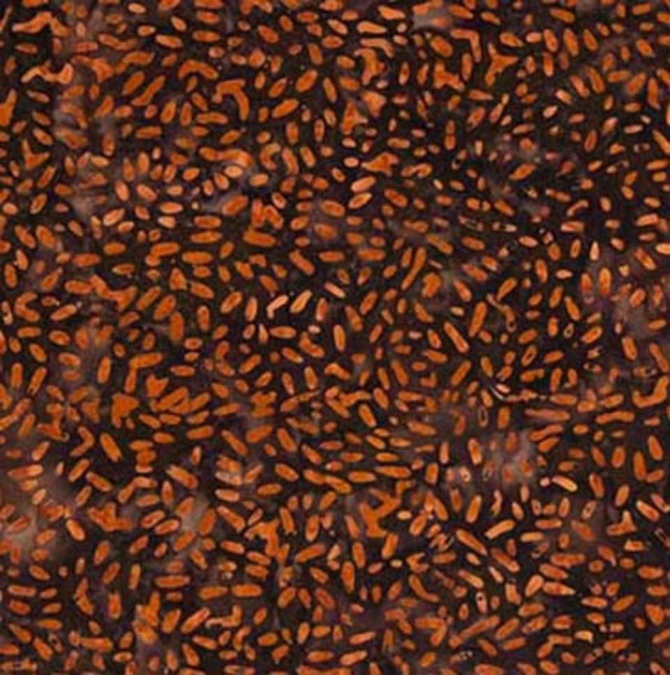 Northcott - Ketan - 81000-386