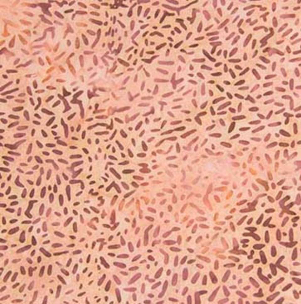 Northcott - Ketan - 81000-371