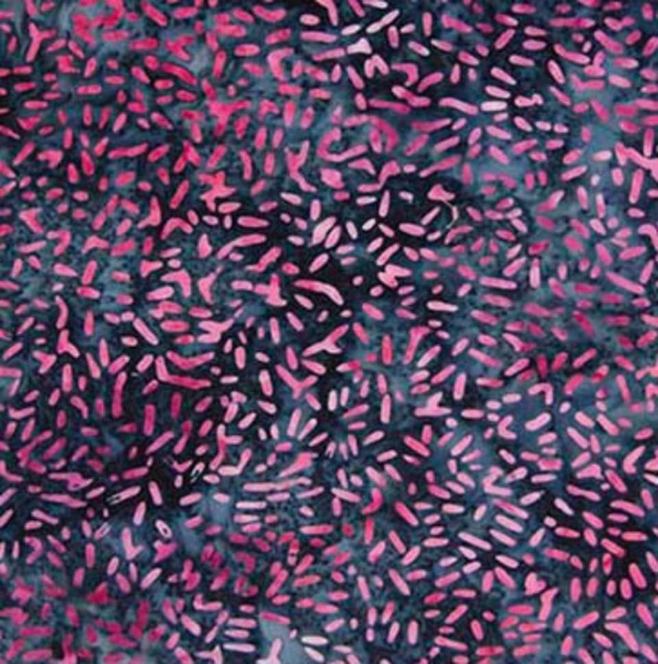 Northcott - Ketan - 81000-280