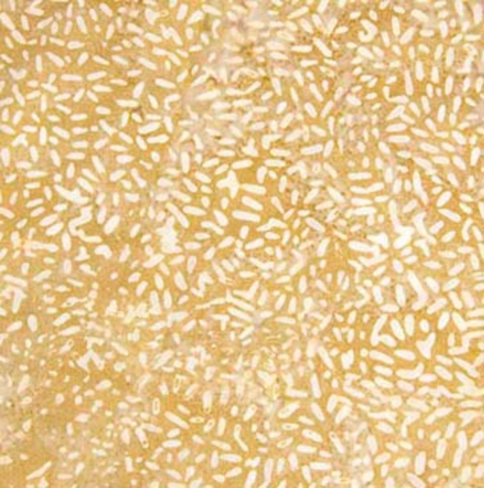 Northcott - Ketan - 81000-310