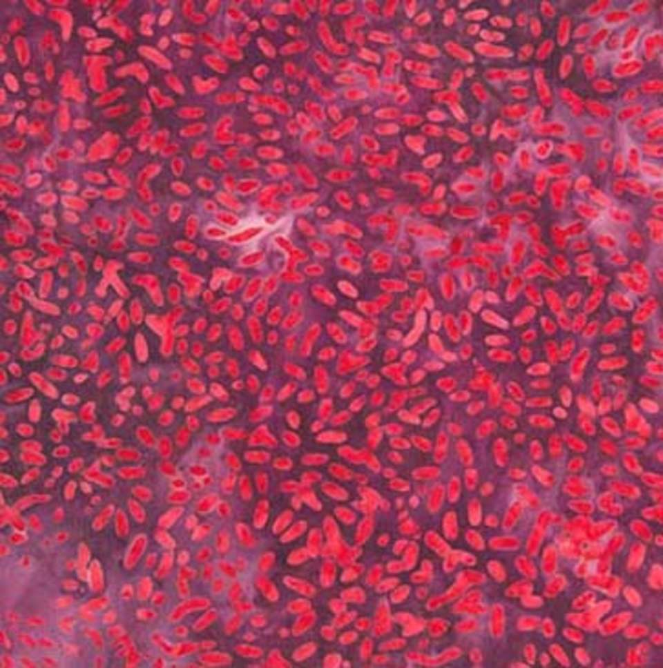 Northcott - Ketan - 81000-260