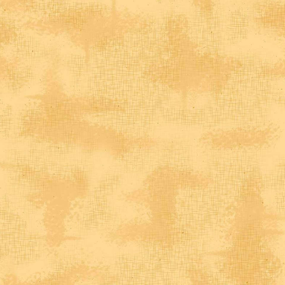 Riley Blake Designs - Shabby - C605-BEEHIVE