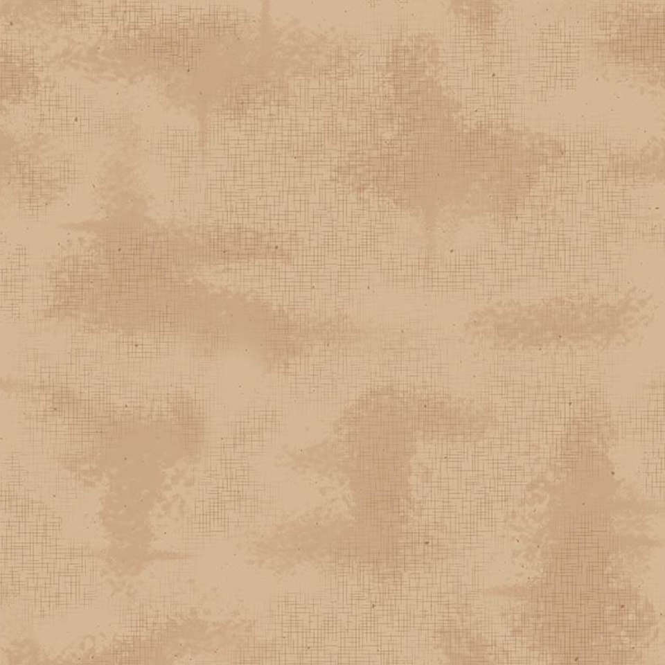 Riley Blake Designs - Shabby - C605-ALLSPICE