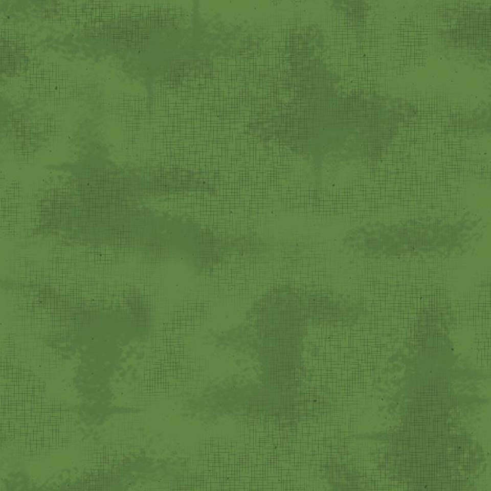 Riley Blake Designs - Shabby - C605-HOLLY