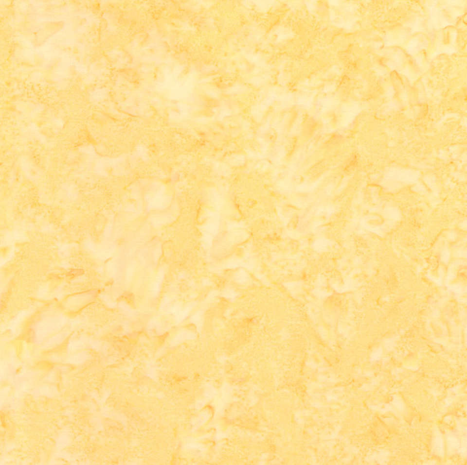 Timeless Treasures - Tonga Wallflowers | Manufacturer Discontinued - Tonga-B7900-Sheer