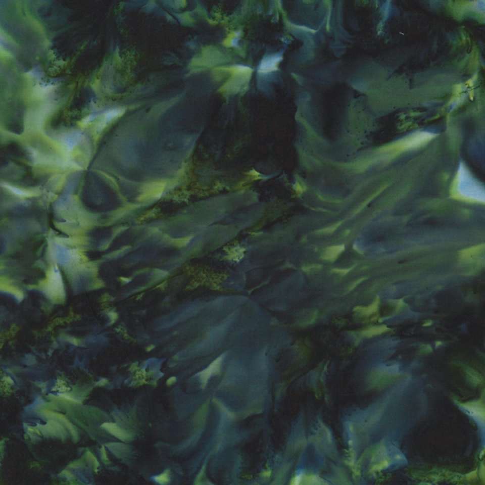 Hoffman California Fabrics - 2019 Fall Batiks - 1384-216-Black-Jade