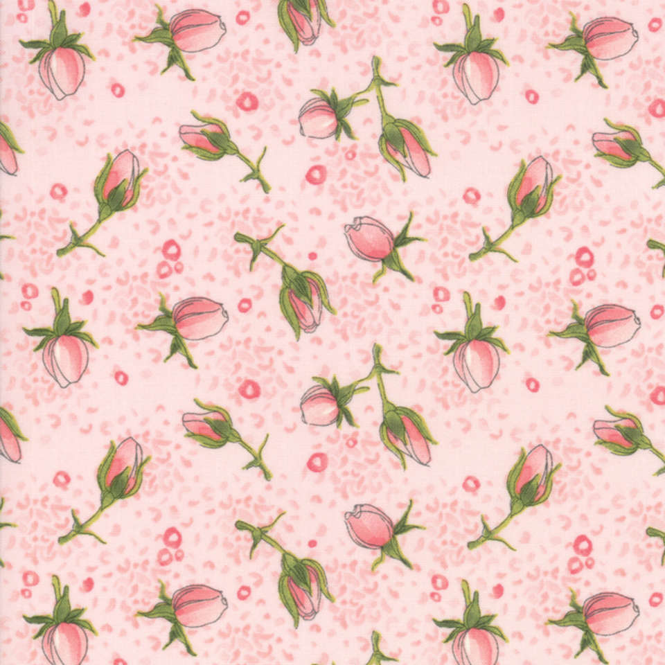 Moda - Abby Rose - 48672-12