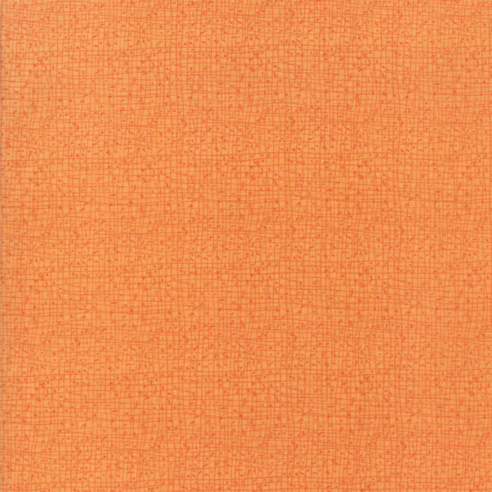 Moda - Abby Rose - 48626-123