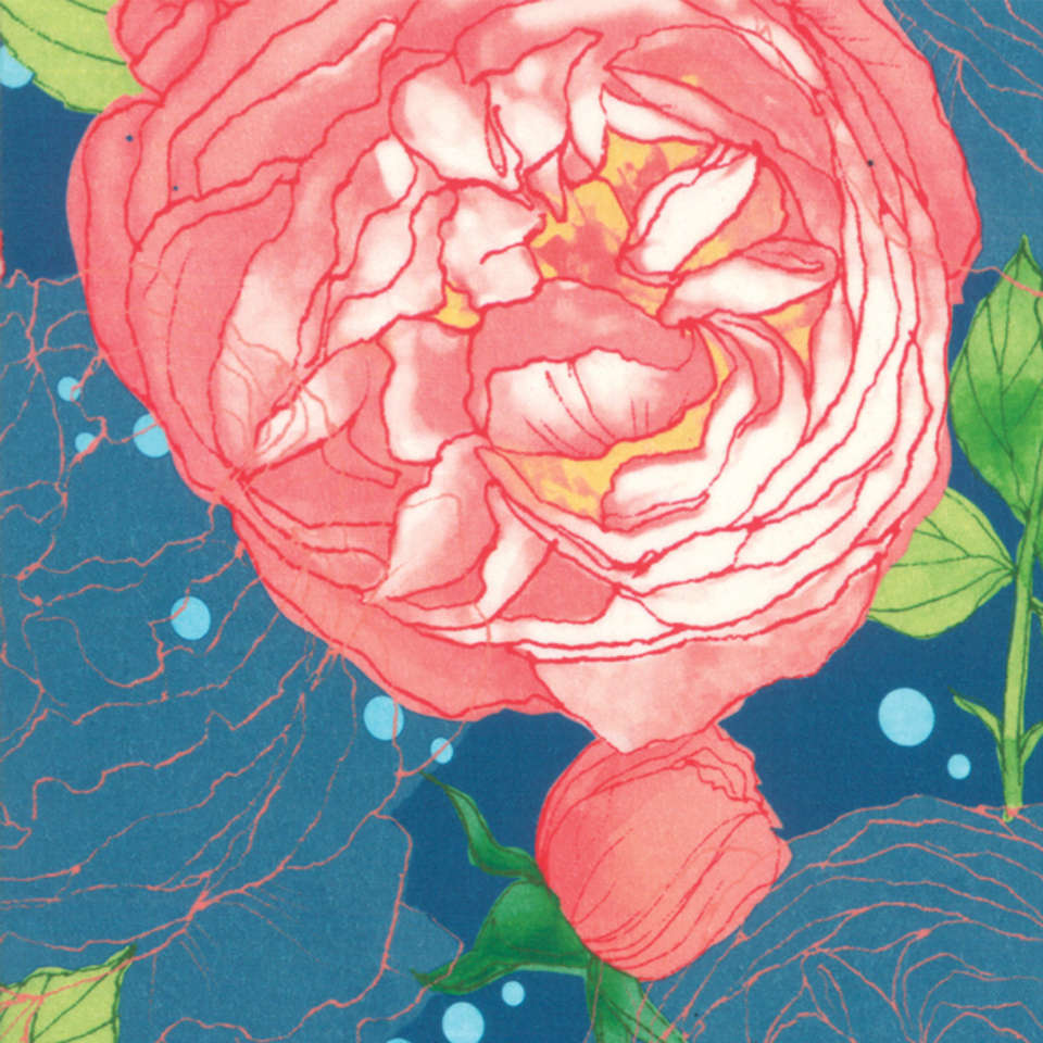 Moda - Abby Rose - 48670-16R