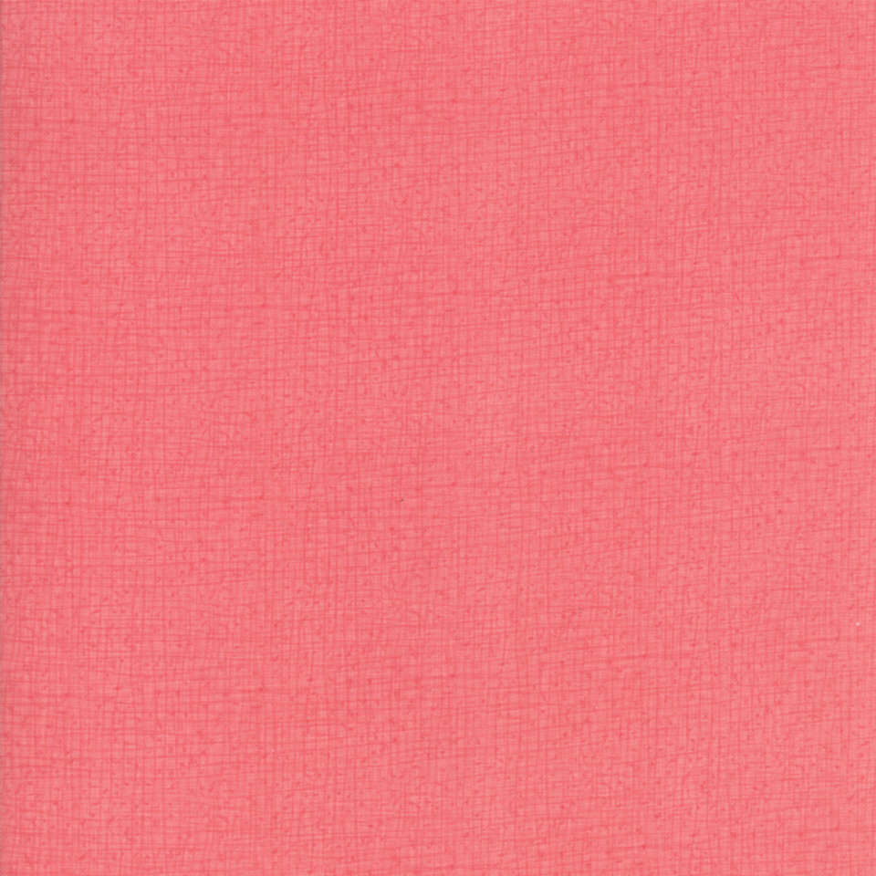 Moda - Abby Rose - 48626-127