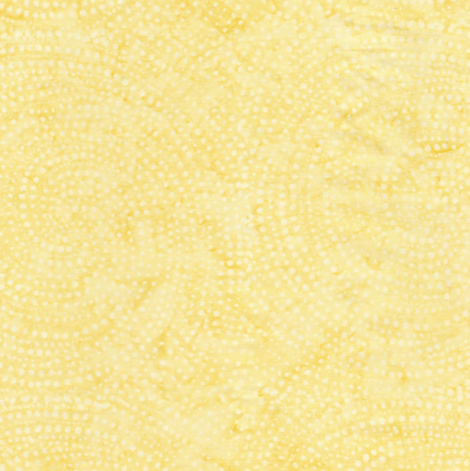 Timeless Treasures - Tonga Icing - TONGA-B2336 HONEY