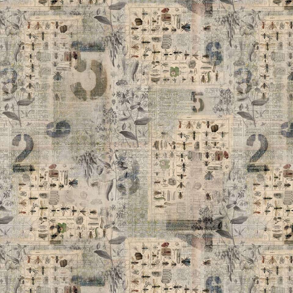 Free Spirit - Foundations - PWTH027.8MULT