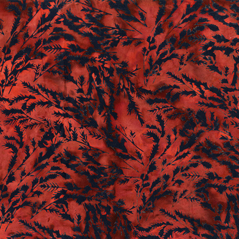 RJR Fabrics - Nature Walk - rj1004se6b_branches_sequoia