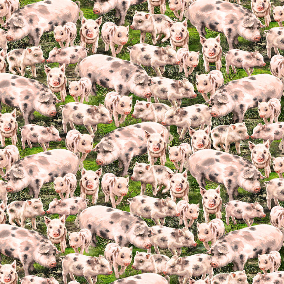 Timeless Treasures - Farm Life - DONA-C8338 MULTI