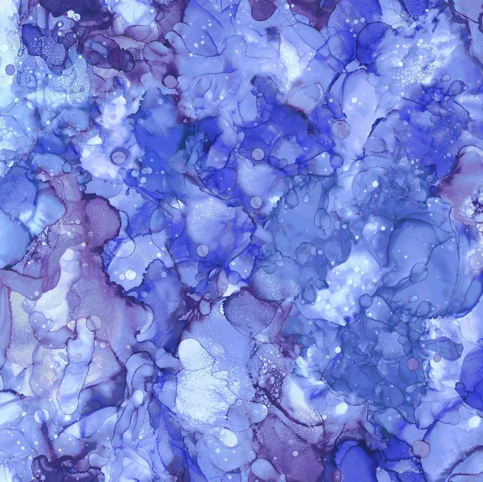 Northcott - Bliss Bold and Bright - DP23888-44