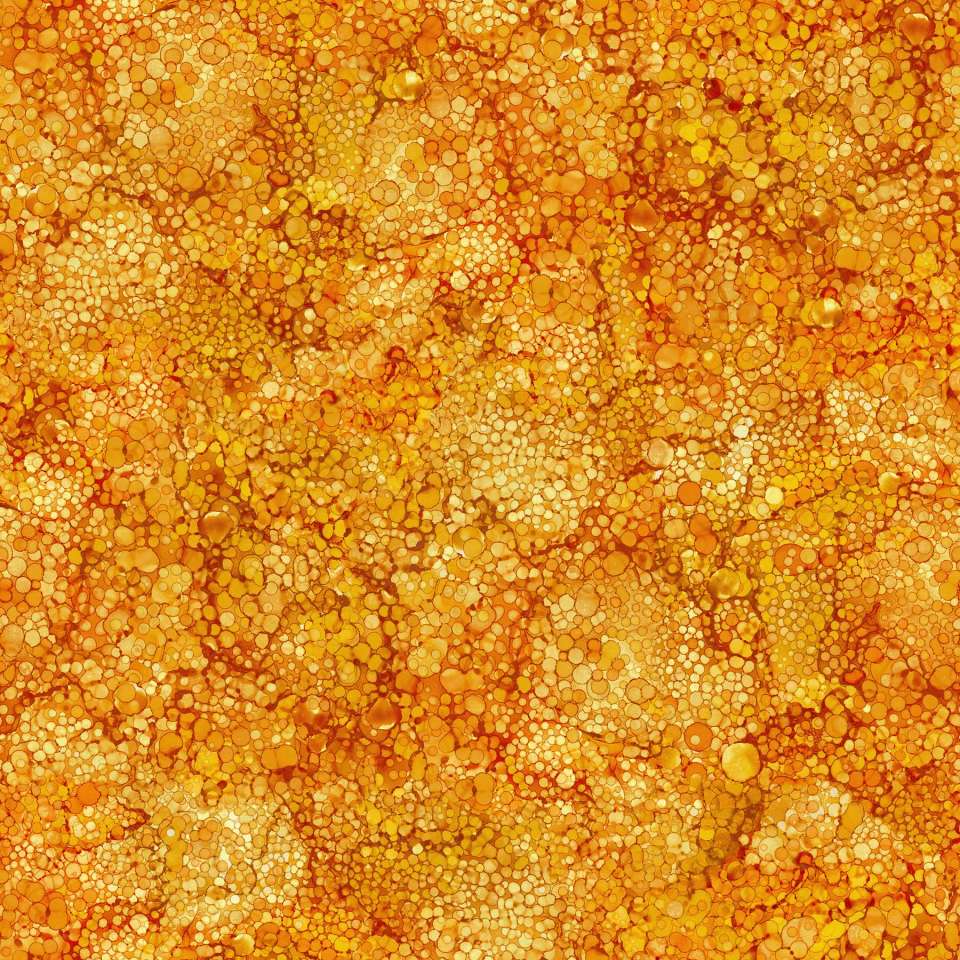 Northcott - Bliss Bold and Bright - DP23887-53