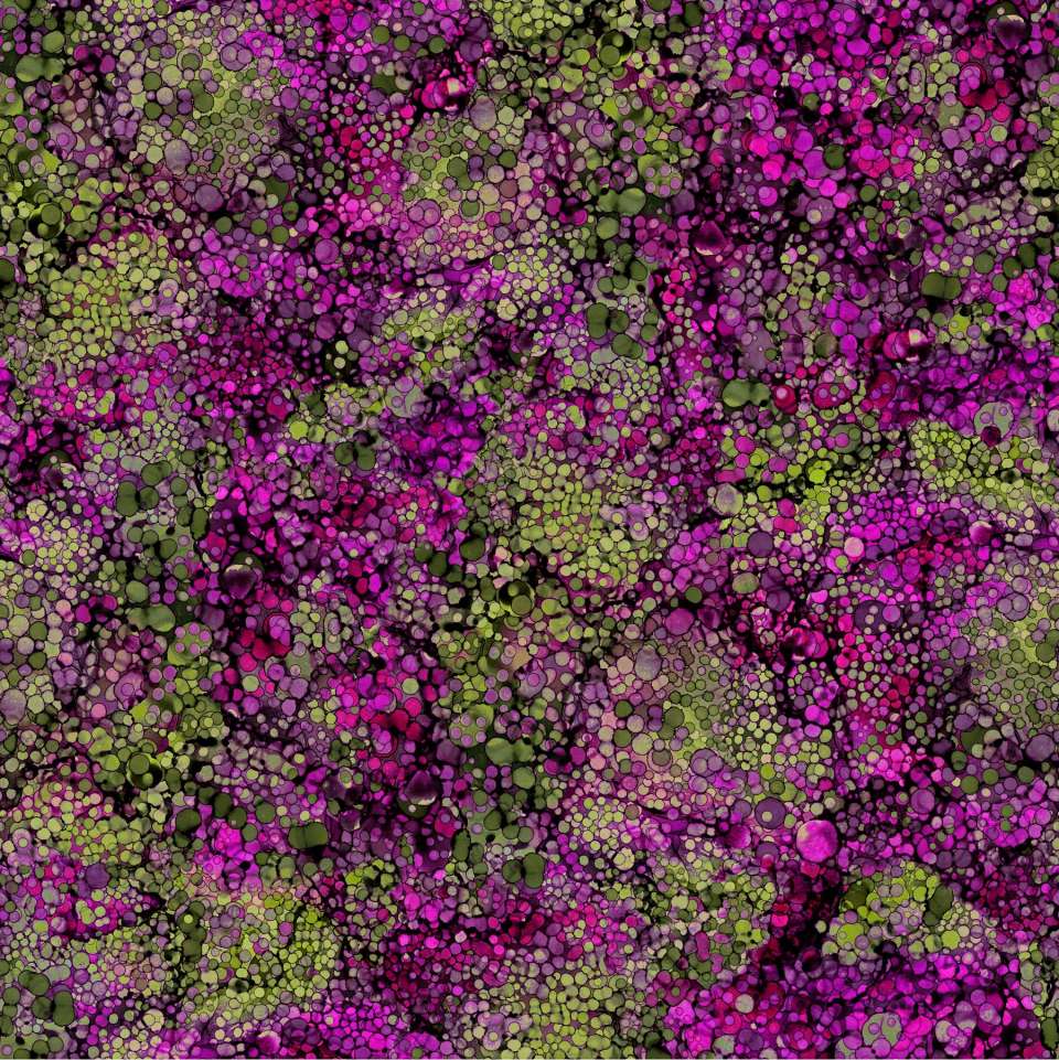 Northcott - Bliss Bold and Bright - DP23887-28