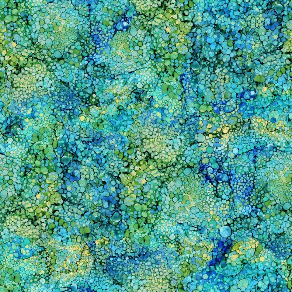 Northcott - Bliss Bold and Bright - DP23887-43