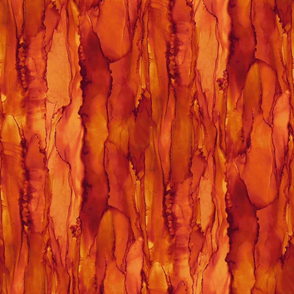 Northcott - Bliss Bold and Bright - DP23889-53