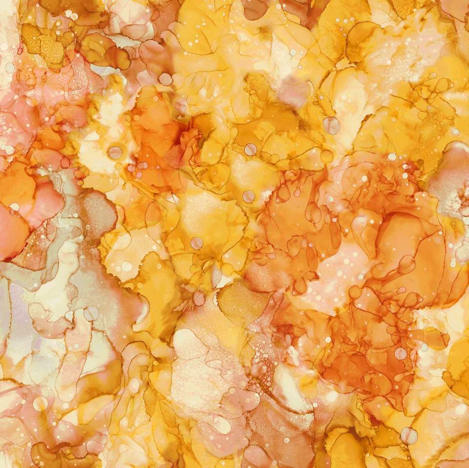 Northcott - Bliss Bold and Bright - DP23888-53