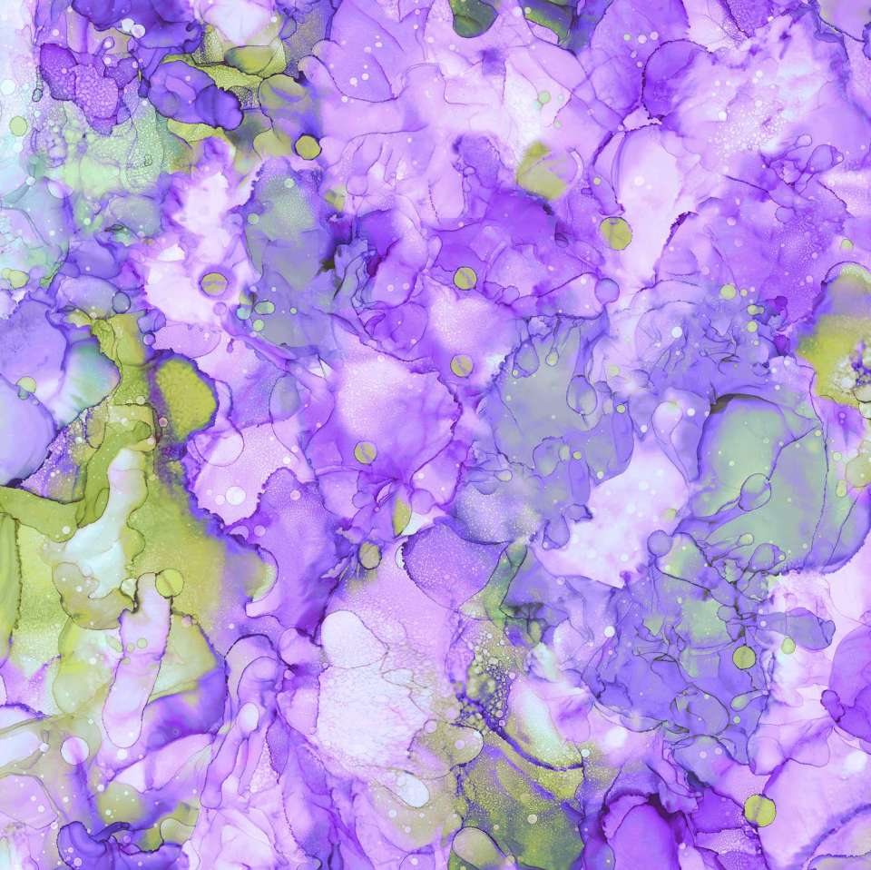 Northcott - Bliss Bold and Bright - DP23888-82