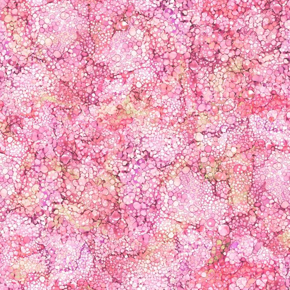 Northcott - Bliss Bold and Bright - DP23887-21