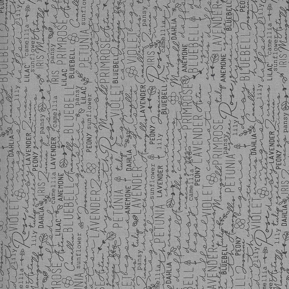 Moda - Spring Chicken - 55520 16