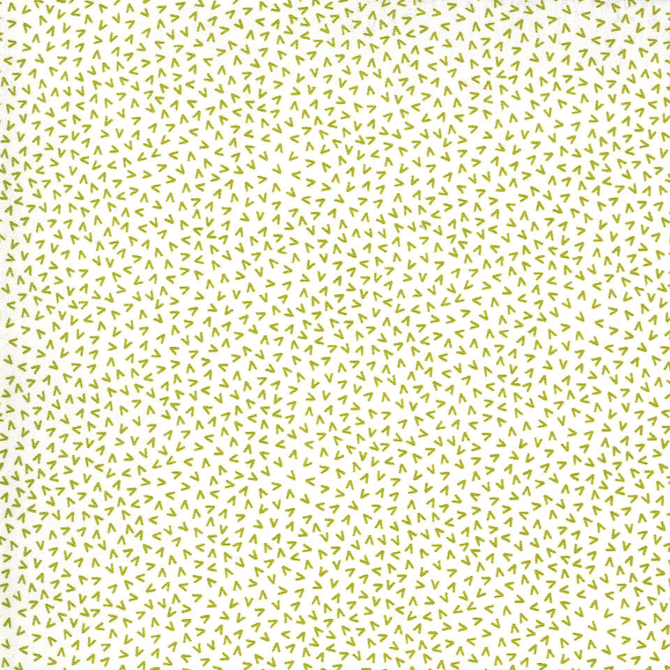 Moda - Spring Chicken - 55525 23