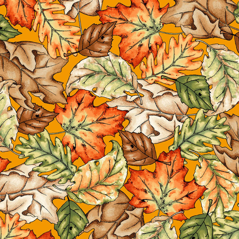 Maywood Studio - Sweater Weather - MAS10032-O_1