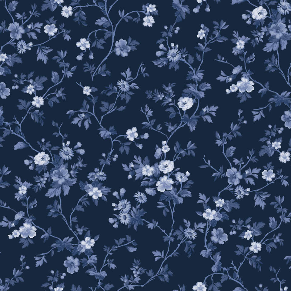 Maywood Studio - Silver Jubiliee - MAS2504-N_1