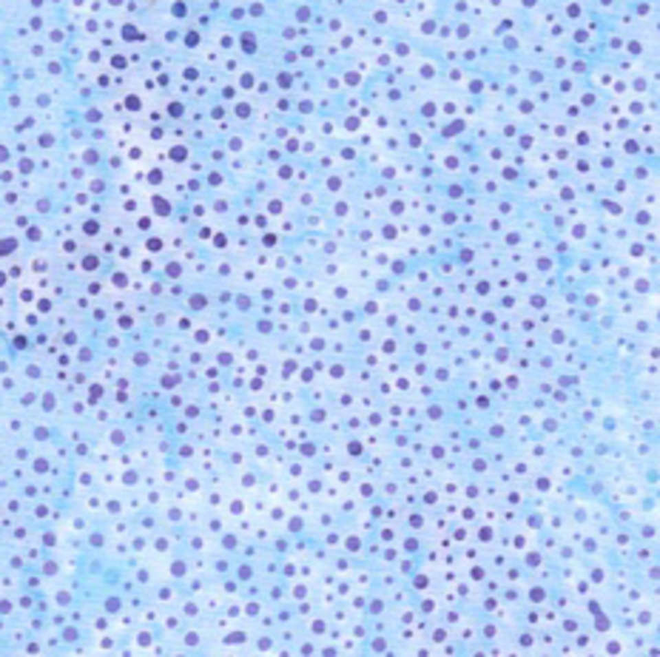 Hoffman California Fabrics - 885 Dot Batiks - 885-120-Hyacinth