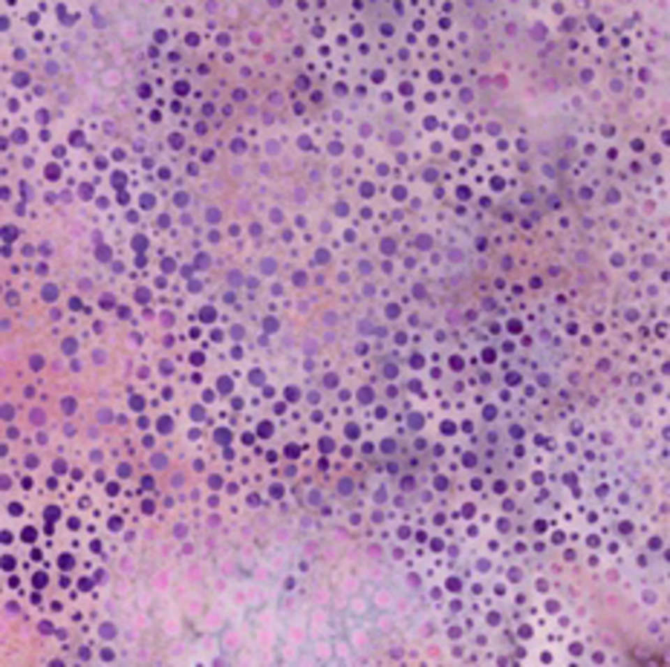 Hoffman California Fabrics - 885 Dot Batiks - 885-158-Victorian-Rose