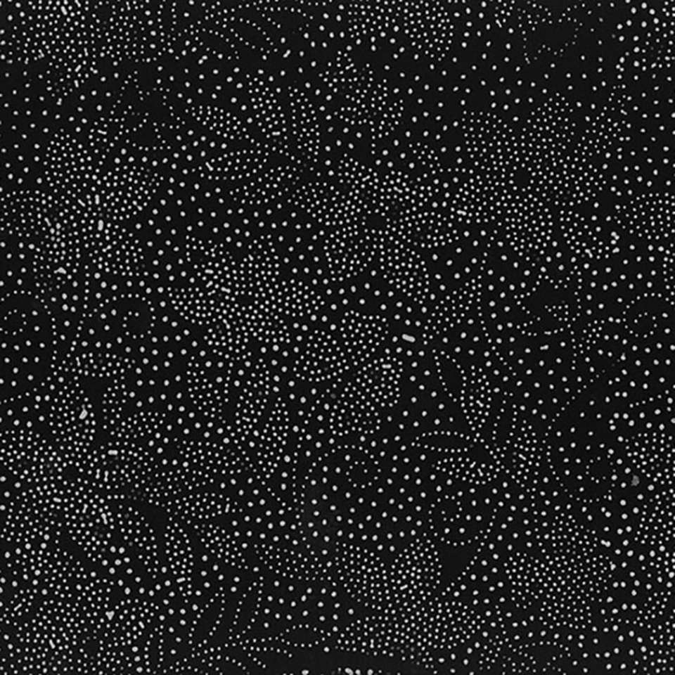 Hoffman California Fabrics - Cookies and Cream - T2439-425-Oreo