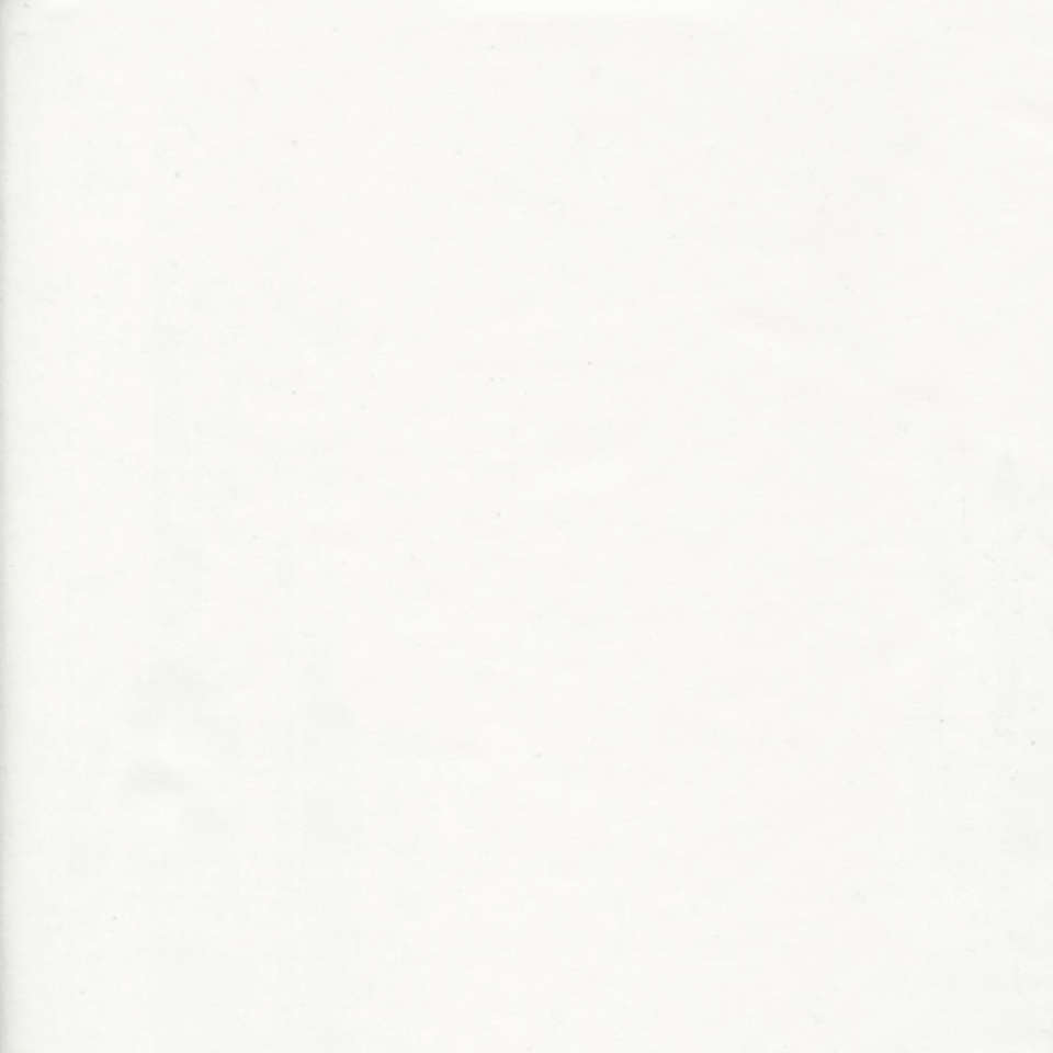 Island Batik - 2021 Wide Back - WB-White