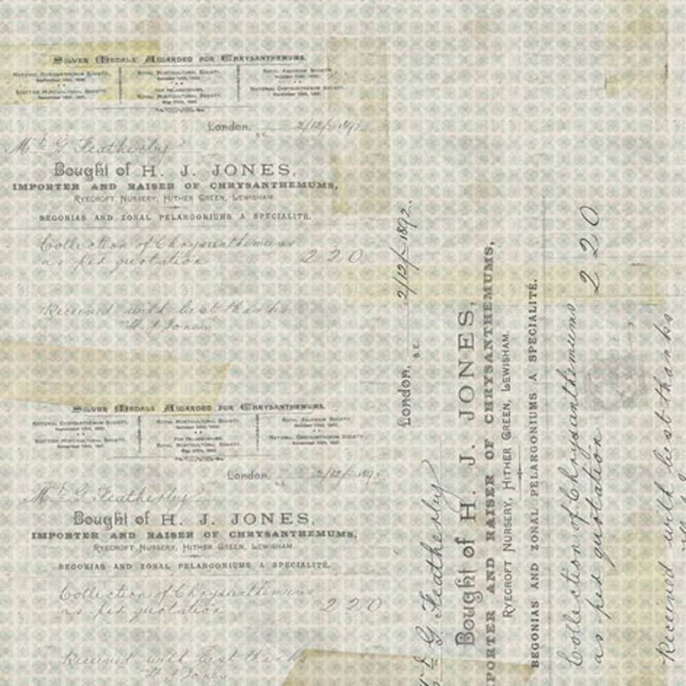 Free Spirit - Foundations - PWTH094.AQUAX