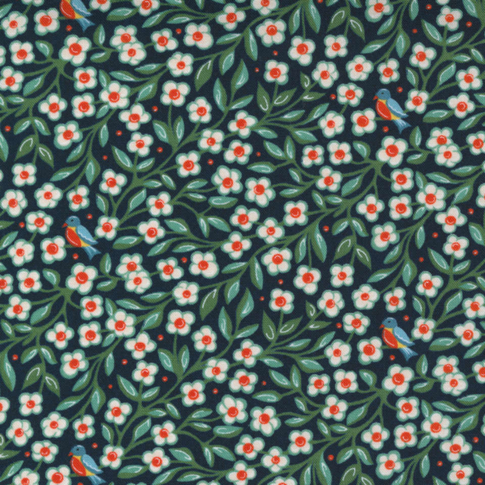 Moda - Frankie - 30672-12