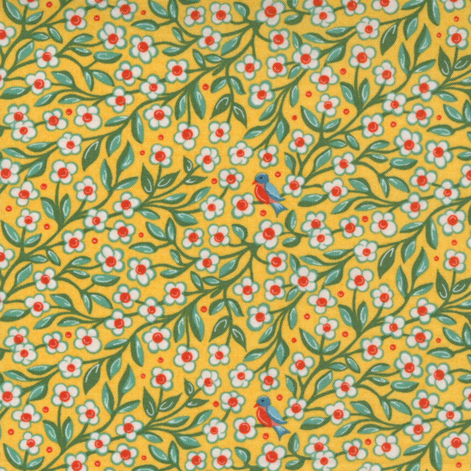 Moda - Frankie - 30672-17