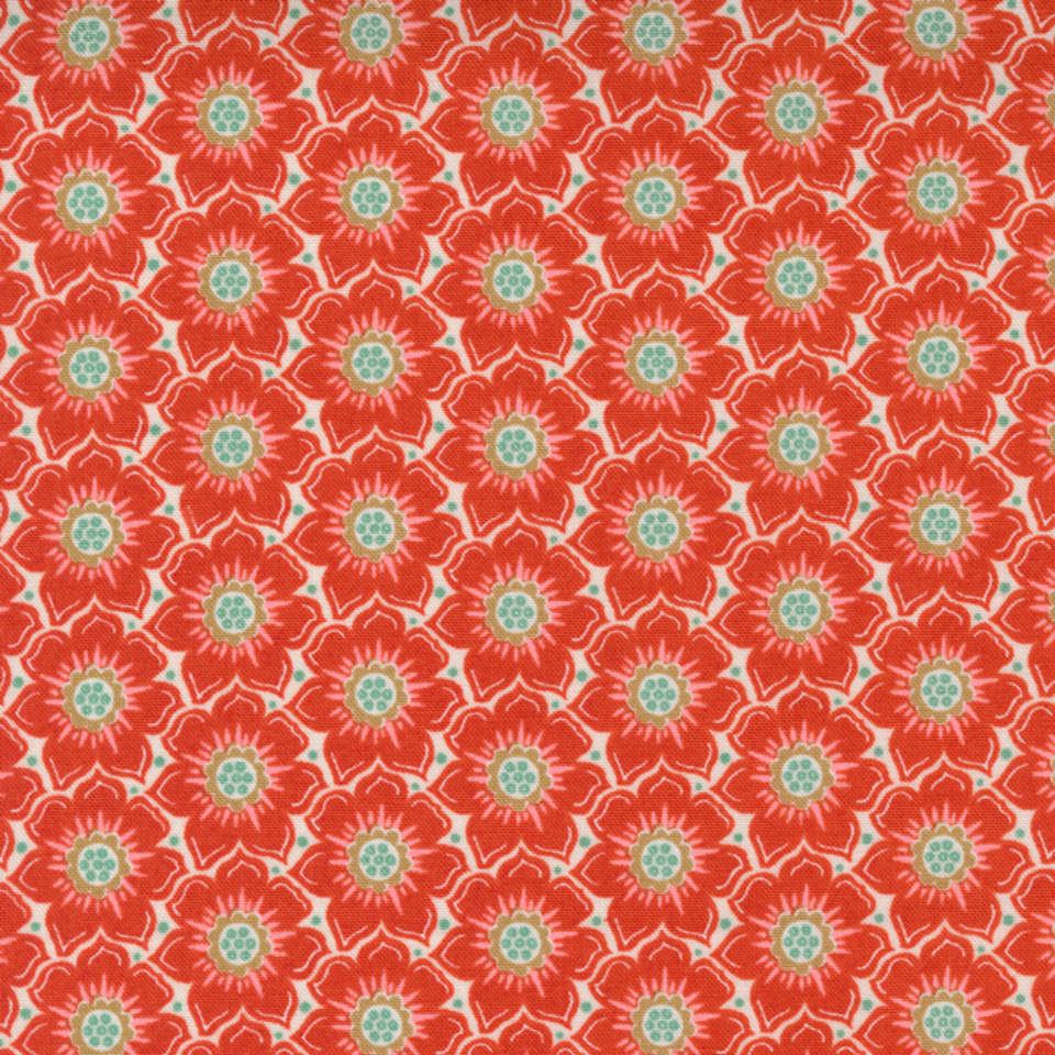 Moda - Frankie - 30674-17