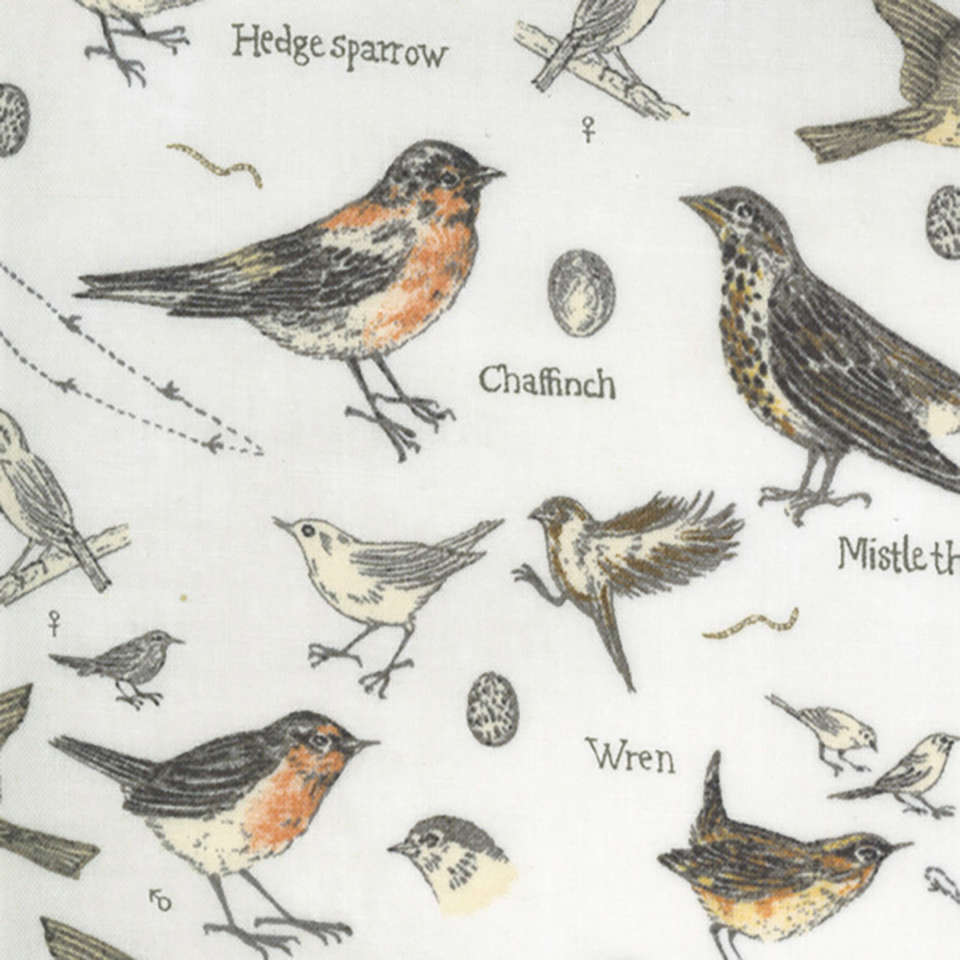 Moda - Botanicals - 16910-11