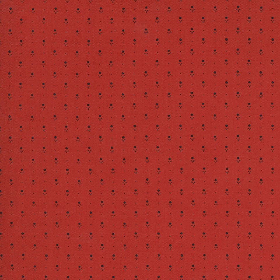 Moda - Ladies Legacy - 8359-11