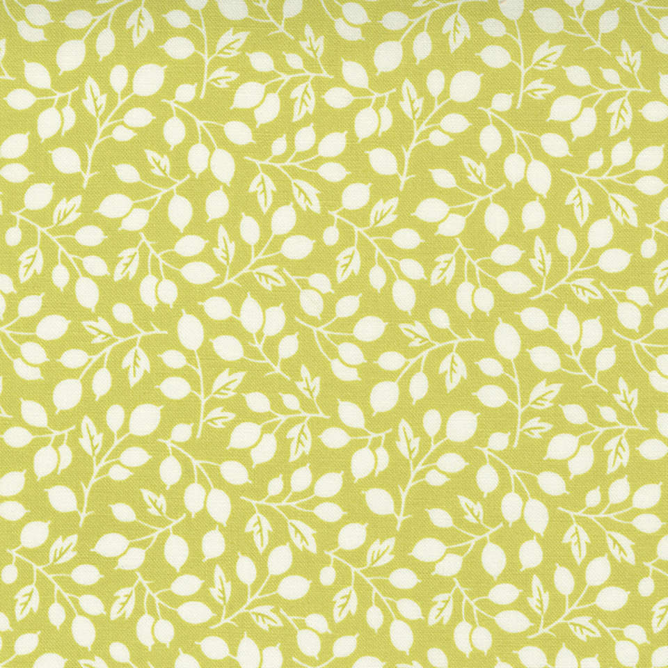 Moda - Pumpkins and Blossoms - 20421-14