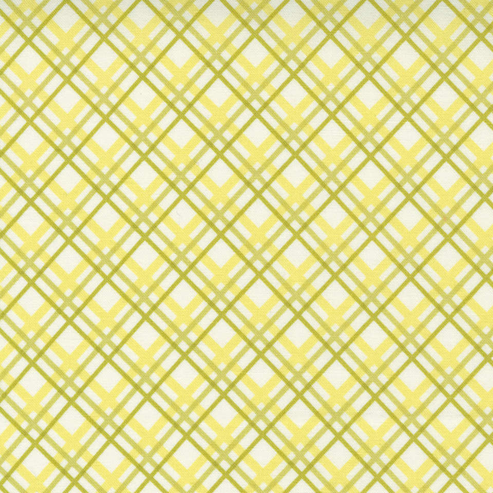 Moda - Pumpkins and Blossoms - 20424-24