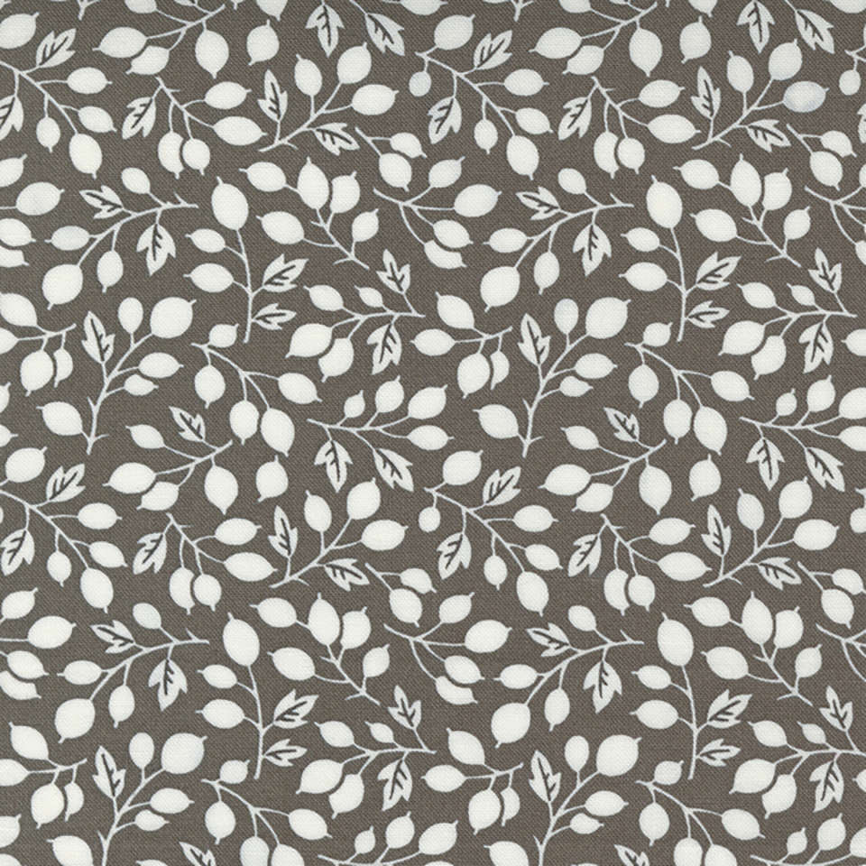 Moda - Pumpkins and Blossoms - 20421-17