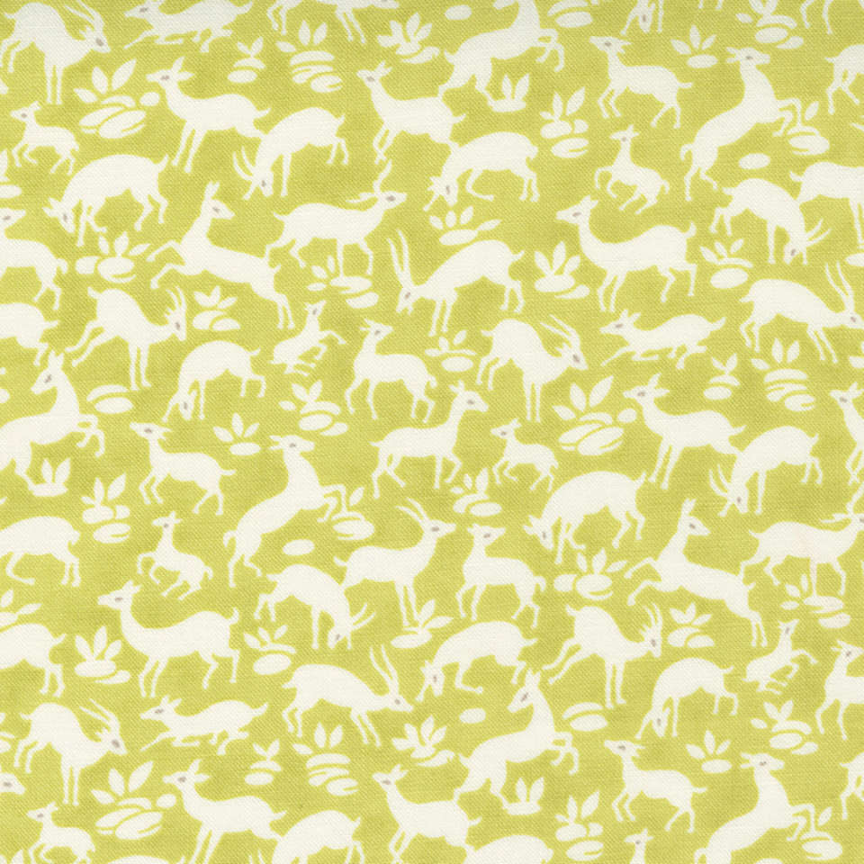 Moda - Pumpkins and Blossoms - 20422-14