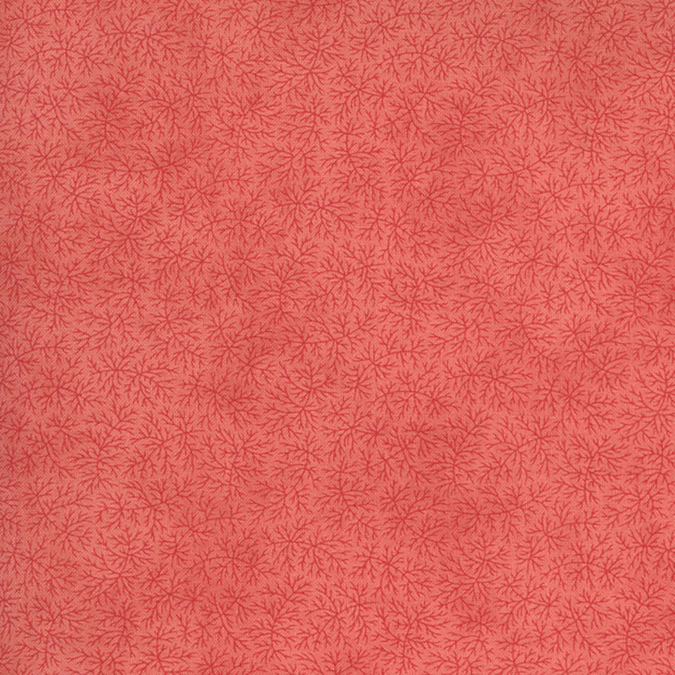 Moda - Sanctuary - 44255-14