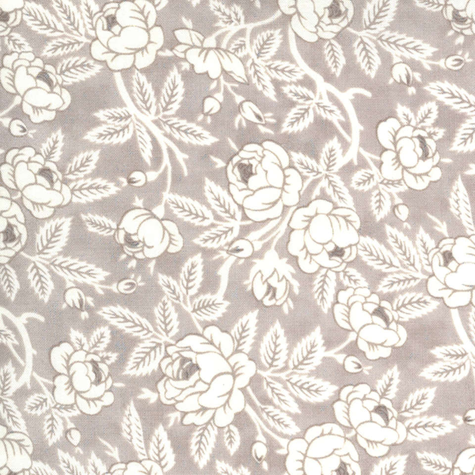 Moda - Sanctuary - 44252-15