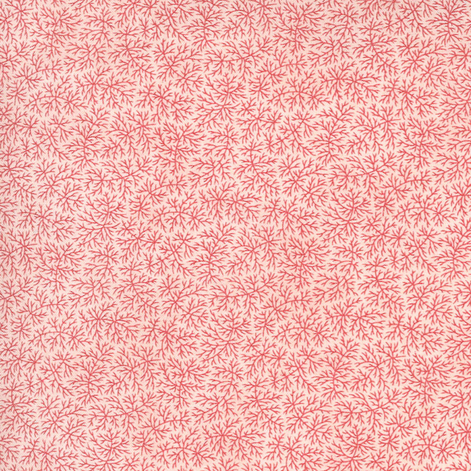 Moda - Sanctuary - 44255-12