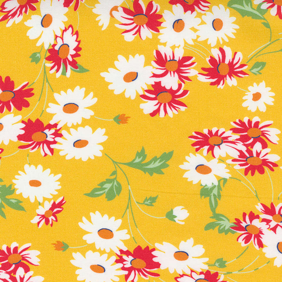 Moda - Story Time - 21791-14