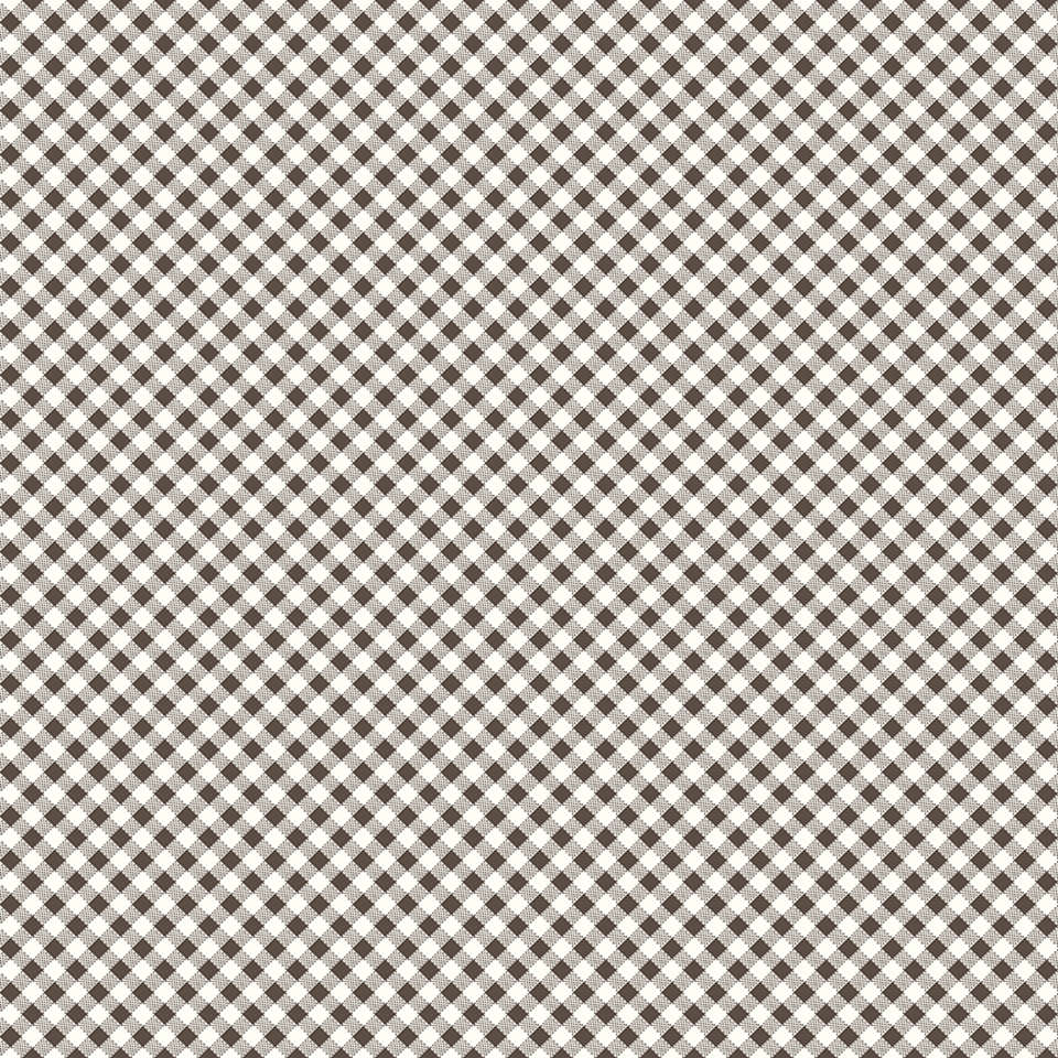 Riley Blake Designs - Bee Ginghams - C12556-RAISIN