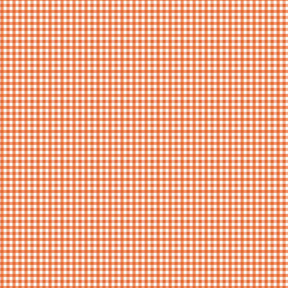 Riley Blake Designs - Bee Ginghams - C12560-AUTUMN